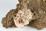 Fibrous Pink Wupatkiite Formation - Cameron, Arizona #186407-1